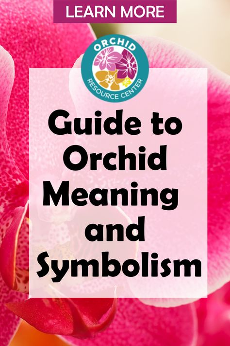 Orchids come in different varieties and certainly different colors. Orchids of all different shapes and sizes and colors have different meanings. Learn more about orchid meanings and symbolism in this complete guide. Orchid Meaning Symbols, Orchid Meaning, Orchid Fertilizer, Yellow Orchid, Orchid Color, Fiddle Leaf Fig Tree, Growing Orchids, Flower Meanings, Color Meanings