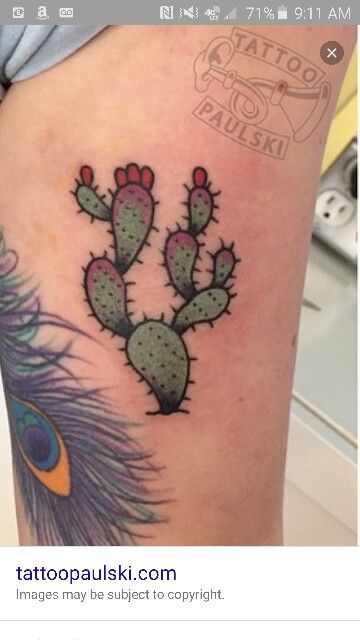 Prickly pear tattoo Prickly Pear Cactus Tattoo Traditional, Prickly Pear Cactus Tattoo, Prickly Pear Tattoo, Pear Tattoo, Pear Drawing, Cactus Pears, Meat Art, Rooster Tattoo, Cactus Tattoo