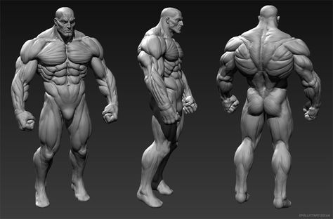 ArtStation - ManRoid Anatomy, Chris Pollitt Zbrush Anatomy, 3d Anatomy, Male Figure Drawing, Muscular Man, Man Anatomy, Anatomy Sculpture, Human Anatomy Drawing, Human Figure Drawing, Human Anatomy Art