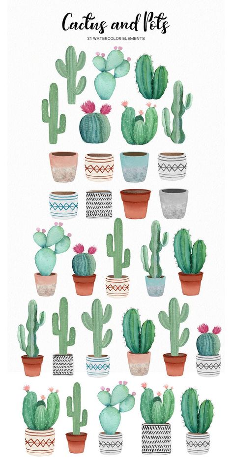 Watercolor cactus succulent clipart watercolor succulents | Etsy Cactus Doodle, Succulents Drawing, Cactus Clipart, Cactus Paintings, Succulent Painting, Cactus Drawing, Watercolor Succulents, Cactus Painting, Succulent Art