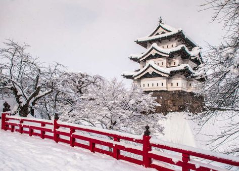 Aomori Japan, Travel Trivia, Travel Quiz, Japanese Castle, Snow Sculptures, Travel Facts, Snow Covered Trees, Japan Travel Guide, Aomori