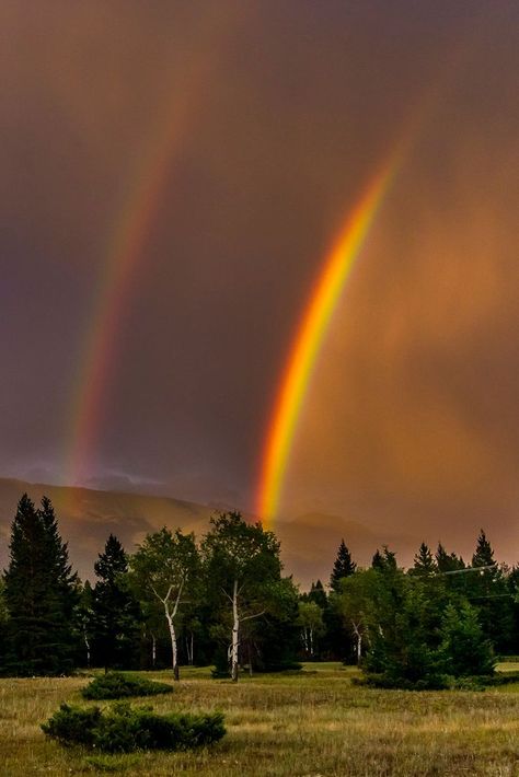 Rainbow / Arc-en-ciel / Image by wim van de meerendonk from flickr Olafur Eliasson, Anime Aesthetic, Northern Lights, Country Roads, Sleep, Rainbow, Sun, Natural Landmarks, Van