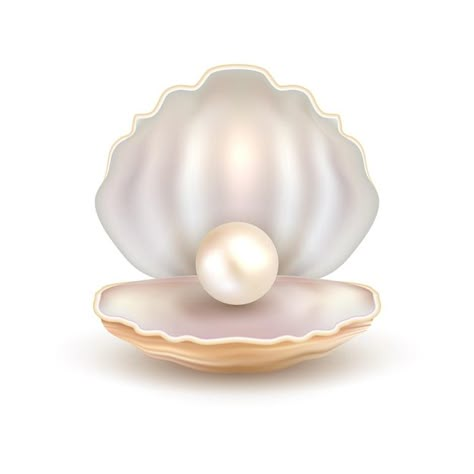 Premium Vector | Realistic illustration of open seashell with nacre beige pearls inside and around isolated on gray gradient background Pearl Logo Design, Gray Gradient Background, Jewelry Wallpaper, Grey Gradient Background, Name Design Art, Pearl Background, Baby Lulu, Pearl Wallpaper, Seashell Design