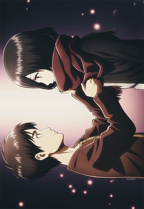 eren and mikasa Eren Yeager And Mikasa Ackerman, Mikasa Fanart, Mikasa X Eren, Eren Aot, Attack On Titan Aesthetic, Eren X Mikasa, Eren And Mikasa, Titans Anime, Attack On Titan Eren