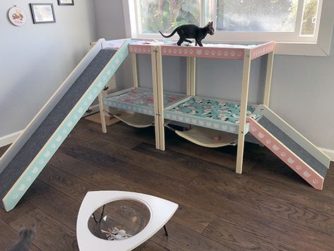 DIY Custom Kitten Climber: Kitten Nursery Makeover for Kitten Lady! • hauspanther Kitten Setup Ideas, Kitten Set Up In Bedroom, Kitten Room Ideas, Kitten Room, Diy Kitten Playpen, Kitten Lady, Diy Indoor Kitten Playpen, Foster Kitten Room Ideas, Kitten Foster Room Ideas