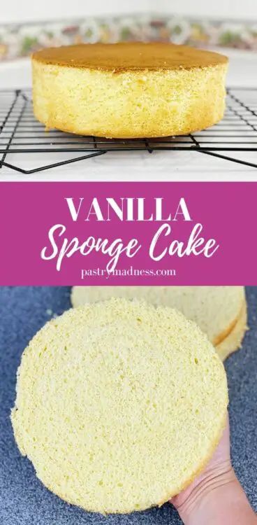 Vanilla Sponge Cake Recipe Sponge Layer Cake, Individual Trifle, Vanilla Sponge Cake Recipe, Pumpkin Shaped Cake, Bean And Cheese Burrito, Cheese Burrito, Cake Summer, Sponge Cake Recipe, Single Layer Cakes