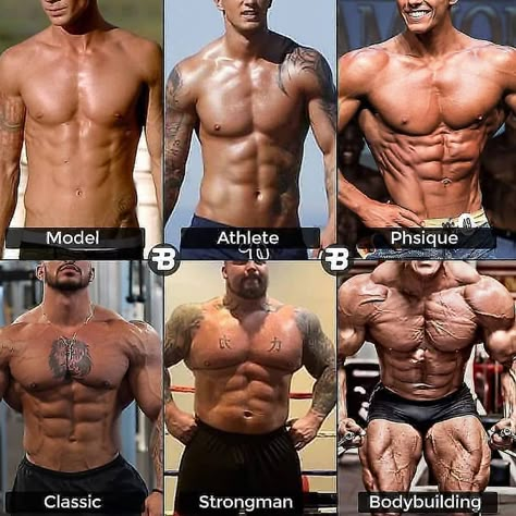 Body Builder Diet, Nose Exercise, Gym Workout Schedule, Bowflex Workout, Gym Physique, Aesthetic Muscle, Jeff Seid, David Laid, Gym Wallpaper