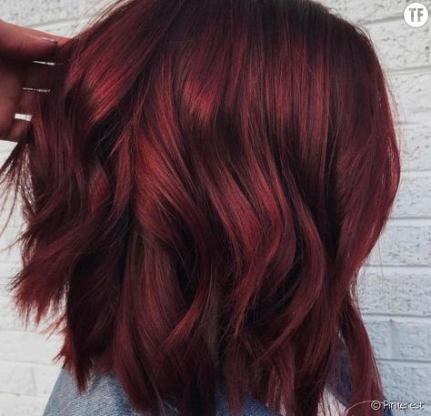 Coloration tendance 2018 : les cheveux vin chaud Pinot Noir Red Hair, All Over Brown Hair Color Fall, Dark Cherry Red Hair Medium Length, Chin Length Bob Red Hair, Burgundy Hair With Black Money Piece, Multi Tone Red Hair, Burgundy Hair Medium Length, Cool Reds Haircolor, Cool Dark Red Hair