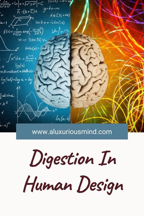 Human Design Diet, Digestion Human Design, Human Design Digestion, Human Design Reflector, Projector Human Design, Generator Human Design, Human Design Manifestor, Human Design Projector, Human Design Types