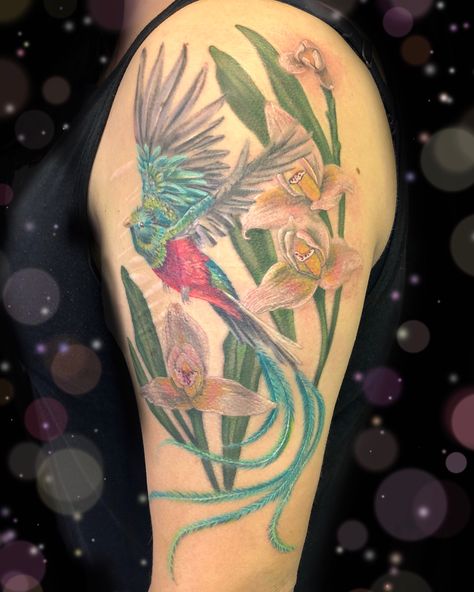 Megan:RoseNoirTattoo on Instagram: “The National bird and flower of Guatemala. The Quetzal and White Nun Orchid. 🕊🕊🕊 ... Done using: Machine: @cheyenne_tattooequipment…” White Nun Orchid Tattoo, Guatemala Tattoo Ideas Design, White Nun Orchid, Nun Orchid, Guatemala Tattoo Ideas, Quetzal Tattoo, Noir Tattoo, Orchid Tattoo, Bird And Flower