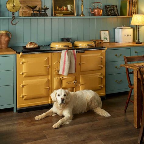 Yellow Aga range cooker Electric Aga, Aga Range Cooker, Iron Tablets, Aga Range, Aga Cooker, Range Cookers, New Picture, London Flat, Kitchen Range