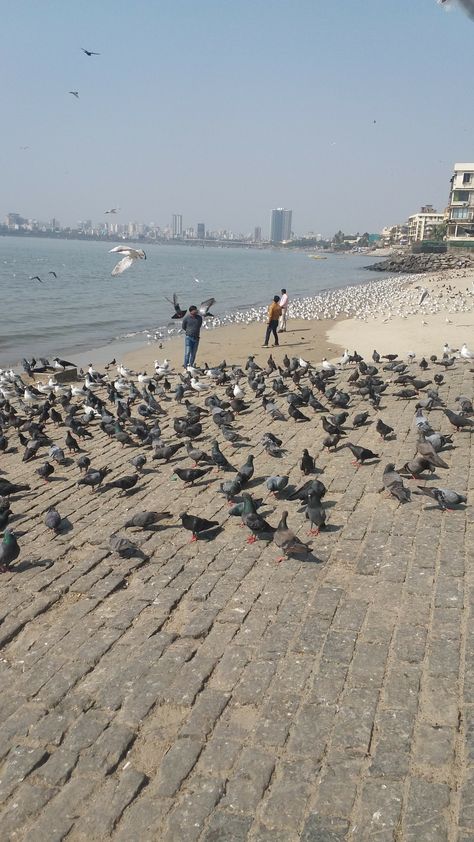 Bandra Mumbai Snapchat, Mumbai Food Snap, Juhu Beach Mumbai Snapchat Story, Juhu Beach Mumbai Snapchat, Mumbai Snapchat Stories, Marine Drive Mumbai Snapchat, Mumbai City Snapchat, Mumbai Snapchat, Mumbai Snap