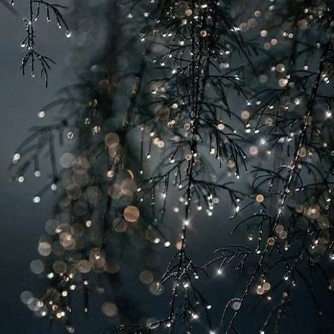 debora l on Instagram: “Wishing all a Magical and Marvelous New Year. .  While this Earth spins and each of us will come to celebrate this new decade let us…” Dark Academia Christmas, Picture Autumn, Winter Iphone, Iphone Wallpaper Winter, Autumn Weather, Dark Christmas, Iphone Background Images, Christmas Wonderland, Dark Photography