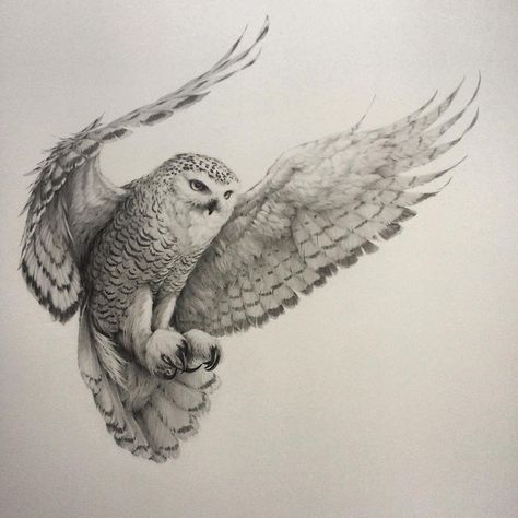 “It's 'owl' over bar the hooting! I've finally finished this snowy owl in flight, those wings just kept going and going  It's been a real labour of love…” Snowy Owl Tattoo, Owl Tat, Owl Tattoo Drawings, Owl Sketch, Owl Artwork, Owl Tattoo Design, Snow Owl, Barred Owl, Owls Drawing