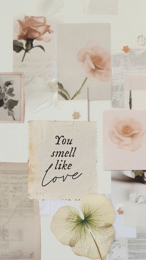 You smell like love quote  mobile phone wallpaper template | premium image by rawpixel.com / Boom You Smell Like Love, Moodboard Rose, Beige Moodboard, Phone Wallpaper Template, Collage Idea, Wallpaper Template, Rose Sketch, Mobile Phone Wallpaper, Photo Collage Design