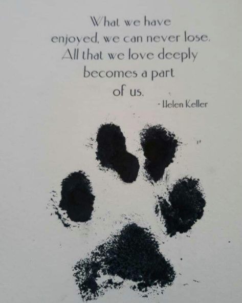 Dog Heaven Quotes, Miss My Dog, Dog Poems, Dog Quotes Love, Dog Heaven, Pet Remembrance, Pet Sympathy, Dog Tattoos, Dog Memorial