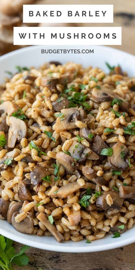 Baked Barley with Mushrooms is a hearty side dish perfect for chilly fall and winter nights and pairs perfectly with roasted meat or stew. BudgetBytes.com Barley Recipe Healthy, Barley Mushroom, Veg Salads, Meatless Dishes, Barley Recipe, Beef Barley, Rice Side, Budget Bytes, Vegetarian Sides