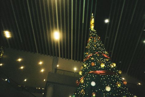 film photography analog photography 35mm film film grain Film camera film scan konica fujifilm christmas tree film aesthetic Film Cam, Film Grain, Photography 35mm, Analog Photography, Camera Film, 35mm Photography, Film Aesthetic, 35mm Film, Film Camera