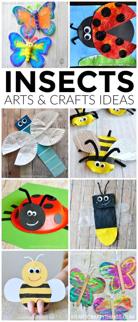 Here are over 25 amazing insects arts and crafts ideas kids of all ages will enjoy. Looking for fun spring kid craft ideas? Check out these creative butterfly crafts, bee crafts, ladybug crafts, dragonfly crafts and lightning bug crafts. #insectcrafts #insects #bugcrafts #springcrafts #kidcrafts #kidscrafts #iheartcraftythings Insects Arts And Crafts, Lightning Bug Crafts, Kid Craft Ideas, Dragonfly Crafts, Amazing Insects, Bee Craft, Arts And Crafts Ideas, Creative Butterfly, Dragon Fly Craft