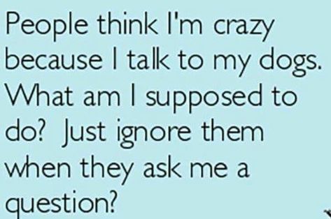 People think I'm crazy because I talk to my dogs. What am I supposed to do? Just ignore them when they ask me a question. Spoiled Dog Quotes, Life With A Dog, Spoiled Dog, I Love My Dogs, Quotes Hilarious, Tea Cup Poodle, Good Dogs, I'm Crazy, Signs Funny