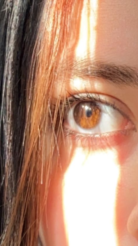 brown eyes Brown Hair In Sunlight, Brown Eyes In Sunlight, Hair In Sunlight, Eyes In Sunlight, Girls Eyes, Brown Eyes, Photo Poses, Brown Hair, Photo And Video