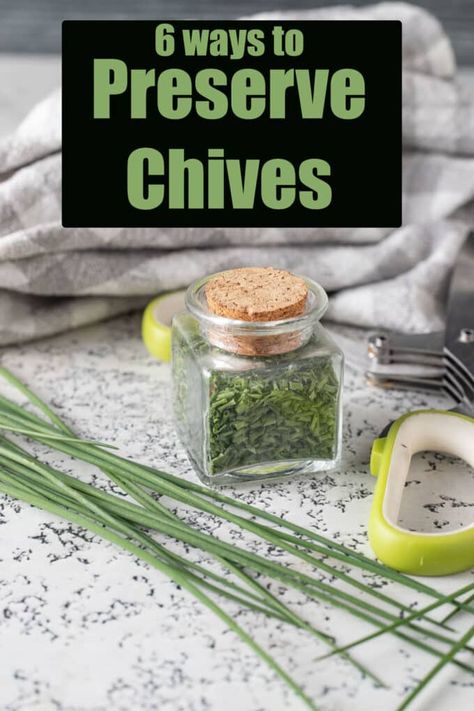 How to Preserve Chives | Store, Freeze, Dry - Binky's Culinary Carnival Dry Chives How To, Preserving Chives Fresh Herbs, How To Save Fresh Chives, How To Freeze Fresh Chives, How To Dry Chives In The Microwave, Freezing Fresh Chives, How To Preserve Fresh Chives, What To Do With Fresh Chives, Chives Uses