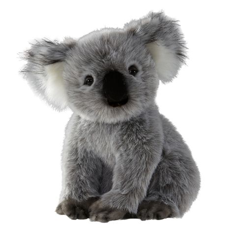 Realistic Stuffed Koala 16 Inch Signature Plush by Aurora at Stuffed Safari Stuffed Animal Drawing, Baby Plushies, Koala Stuffed Animal, Koala Illustration, Koala Plush, Giant Teddy Bear, Koala Bears, Giant Teddy, Toys Uk