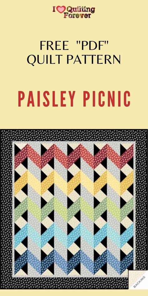 Quilts For Twins, Picnic Quilts Free Pattern, Paisley Quilt Pattern, Picnic Quilts, Paisley Quilt, Picnic Quilt, Twin Quilt Size, Quilt Pattern, Fat Quarter Quilt