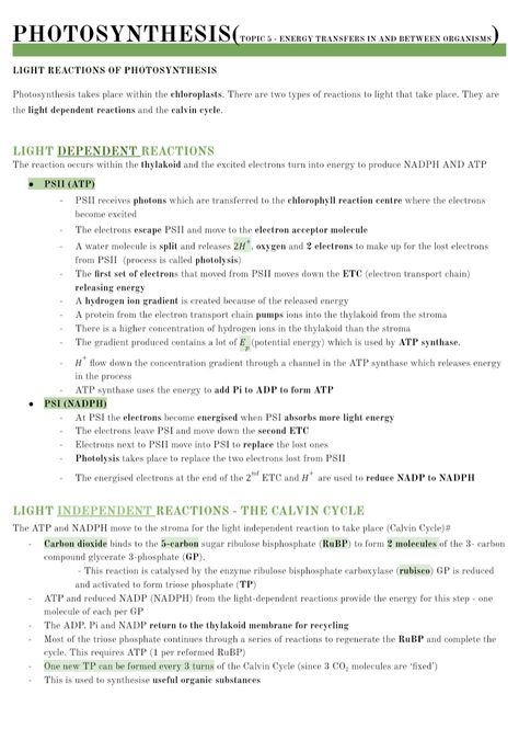 A Level Biology Photosynthesis, A Level Biology Notes Aqa, Photosynthesis Notes Biology, Aqa A Level Biology, Biology Photosynthesis Notes, Photosynthesis Notes Aesthetic, Biology Notes Photosynthesis, A Level Biology Notes, Ap Biology Notes