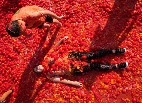 A sauce of enjoyment! Dozens of Russians frolic in tomatoes for Spanish-themed festival | Daily Mail Online Tomatina Festival, La Tomatina Festival, Tomato Festival, Spanish Festivals, La Tomatina, Festival Photography, Spanish Cuisine, Tourism Website, Awesome Pictures