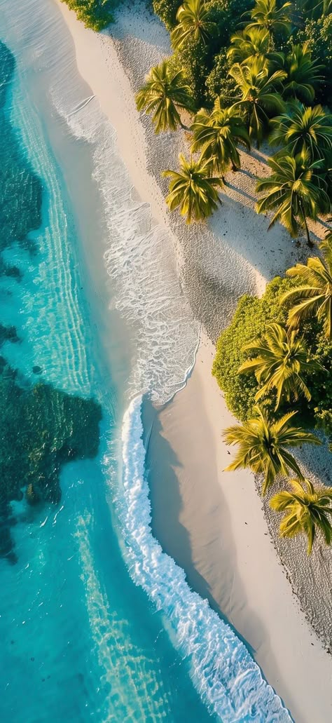 Maldives Wallpaper Hd, Hawaii Aesthetic Wallpaper Iphone, Ocean Animals Photography, Beach Wallpaper Hd 1080p, Hawaii Wallpaper Iphone, Sea Wallpaper Iphone, Tropical Aesthetic Summer Vibes, Resort Wallpaper, Hawaii Aesthetic Wallpaper