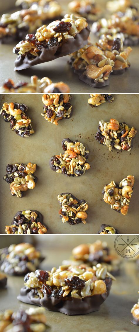 Back Country Clusters by Our Paleo Life - Nuts, seeds, and dried fruit sweetened with honey and wrapped in dark chocolate. #paleo Dried Fruit And Nut Mix Recipes, Dried Fruit Recipes, Fruit And Nut Clusters, Fruit Clusters, Clusters Recipe, Nut Clusters, Chocolate Clusters, Paleo Granola, Paleo Life