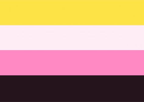 Fem Nonbinary Flag, Transmasc Nonbinary Flag, Neutrois Flag, Female Nonbinary, Nonbinary Symbol, Xeno Flags, Pride Pfp, Werewolf Girl, Flag Maker