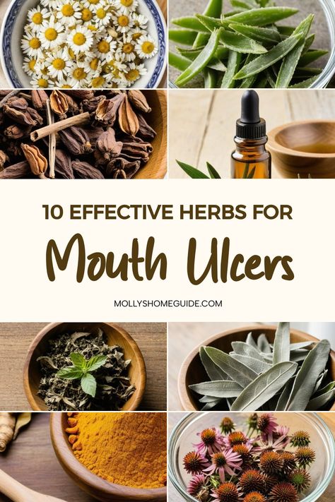 Explore the power of natural remedies for mouth ulcers! Whether you prefer herbal remedies, essential oils, or homeopathic medicines, there are plenty of effective options to help heal ulcers. Consider using clove oil, turmeric, aloe vera, or even licorice root as medicinal herbs. Calendula tincture and myrrh can also help reduce inflammation. Don't forget about coconut oil or cinnamon's benefits for oral care. Ulcer Remedies, Throat Ulcers, Calendula Tincture, Ulcer Remedies Mouth, Herbal Remedies Recipes, Herb Recipes, Apothecary Cabinet, Herbal Apothecary, Clove Oil