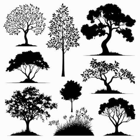 Tree silhouettes drawing collection hand... | Premium Vector #Freepik #vector #tree #black #flat #plants Silhouette Of Trees, Tree Drawing Silhouette, Tree Silhouette Drawing, Silhouettes Drawing, Tree Silhouette Tattoo, Drawing Collection, Plane Tree, Forest Silhouette, Silhouette Drawing