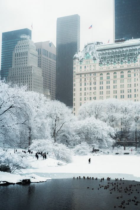 New York Winter Aesthetic Wallpaper, Winter In Nyc Wallpaper, New York Neige, Snow New York Aesthetic, Xmas In New York, Best Nyc Hotels, Snowy New York Wallpaper, Snowy Nyc Aesthetic, Times Square Ball Drop