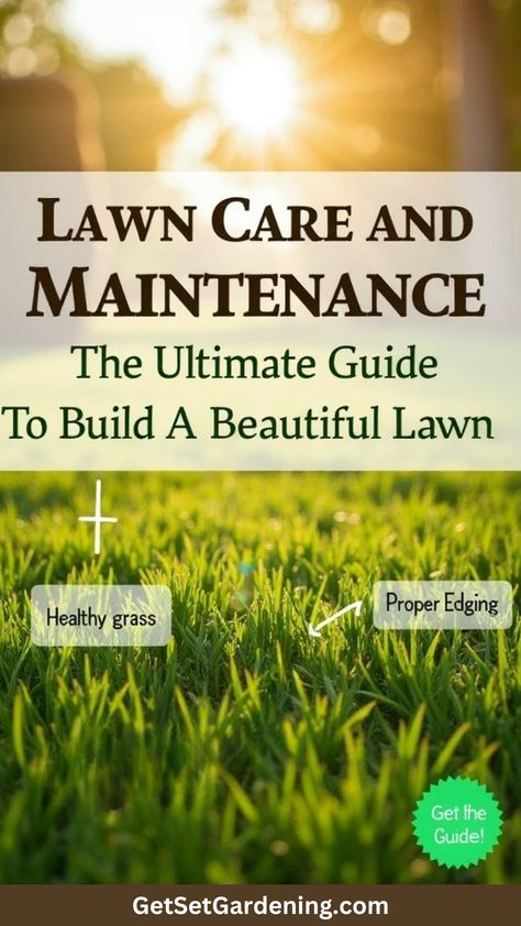 Master the art of lawn care! Learn how to build a beautiful lawn from the ground up with step-by-step maintenance tips and tricks that guarantee success. #lawncareguide #gardenmaintenance #perfectlawn #yardgoals Garden Maintenance, Lawn Care, From The Ground Up, Lawn, Tips And Tricks, Step By Step, Yard, Building, Art