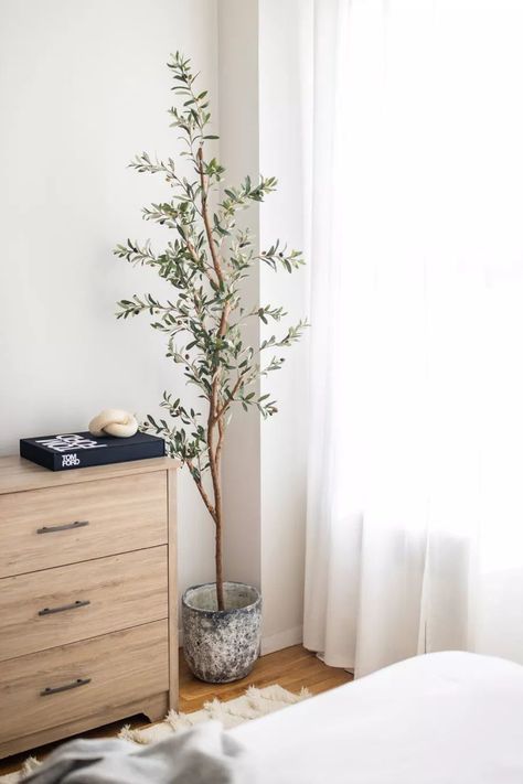 Best faux olive free for home decor. Olive Tree Indoor Bedroom, Olive Tree Bedroom Decor, Faux Olive Tree Bedroom, Small Bedroom Ideas On A Budget, Best Faux Olive Tree, Faux Olive Tree Entryway, Olive Tree Faux, Faux Olive Tree, Olive Tree