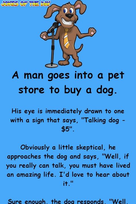 Funny Joke: A man goes into a pet store to buy a dog.   His eye is immediately drawn to one with a sign that says, "Talking dog - $5".   Obviously a little If Dogs Could Talk, Funny Dog Signs, Funny Dog Jokes, Jokes About Men, Funniest Jokes, Dog Comics, Talking Dog, Dog Video, Dog Jokes