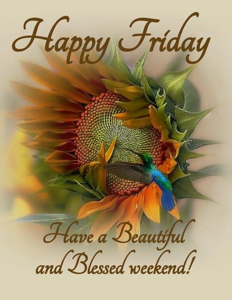 Feel Blessed With These 10 Friday Quotes To Start The Weekend! Good Morning Happy Friday Blessings, Morning Friday Quotes, Good Morning Friday Quotes, Happy Friday Good Morning, Friday Good Morning, Happy Friday Pictures, Friday Inspirational Quotes, Friday Morning Quotes, Friday Wishes