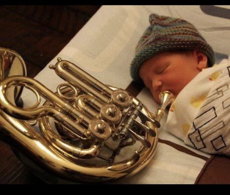 Wind Instruments Aesthetic, French Horn Humor, French Horns, Me As A Parent, Musician Humor, Band Jokes, Music Jokes, Band Nerd, Brass Instruments