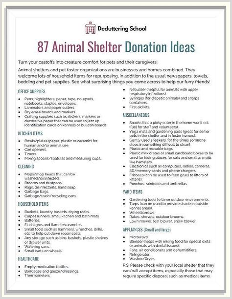 If you're looking for the perfect gifts for your furry friend, then you need to check out our lovely dog supplies! We have everything you need, from toys to treats, and we're sure your furry friend will love everything we have to offer. Things To Donate, Animal Shelter Donations, Animal Shelter Fundraiser, Animal Rescue Ideas, Donation Ideas, Animal Sanctuary, Creature Comforts, Cat Supplies, Shelter Dogs