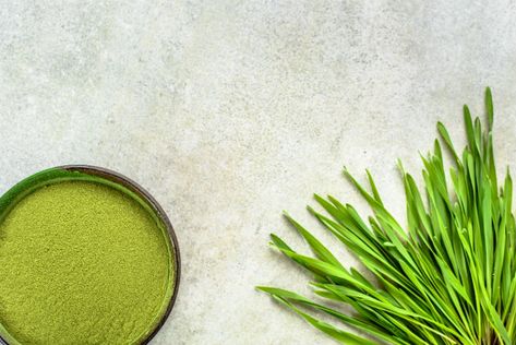 3 benefits of barley grass you may not know Barley Benefits, Green Diet, Barley Grass, Superfood Powder, Wellness Lifestyle, Composition Photography, Good Health, Photography Tutorials, Health And Wellbeing