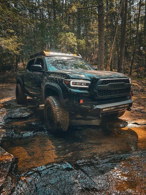 Our Premium Roof Rack is one of a kind! With 360 degree lighting and an adjustable front fairing, this roof rack can carry what you need and light up the trails when you need it! 

Check it out at caliraisedled.com! #toyota #offroad #overland #tacoma Tacoma 3rd Gen, Overland Tacoma, Toyota Offroad, Tacoma Truck, Truck Accessories, Roof Rack, Toyota Tacoma, Dream Car, 360 Degree