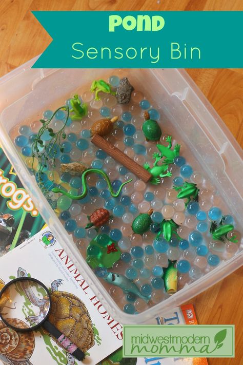 Pond Sensory Bin - Have you ever tried out sensory bins with your little one? They are simple to pull together  but give hours of entertainment, learning, and skill building.  This one is perfect if you are doing a pond unit study or just simply for fun. Pond Sensory Bin, Pond Sensory, Toddler Sensory Bins, Sensory Tubs, Sensory Tub, Sensory Ideas, Skill Building, Toddler Sensory, Homeschool Education