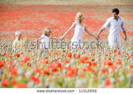 stock photo : Family walking through poppy field Why Are We Here, Family Walking, Poppy Photo, Grandparent Photo, Flower Photoshoot, Hitchhikers Guide, Family Inspiration, Poppy Field, Spring Aesthetic