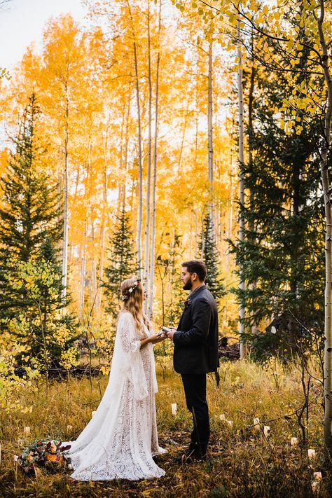 Colorado Elopement | Fall Colors in Breckenridge | Colorado Elopement Photographer | Vow of the Wild Aspen Grove, Fall Elopement, Fall Wedding Photography, Forest Elopement, Colorado Fall, Fall Wedding Photos, Breckenridge Colorado, Wedding Photography Bride, Photography Bride