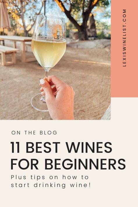 Wine For People Who Dont Like Wine, Beginner Wine Guide, Wine Tasting For Beginners, Alcohol For Beginners, How To Drink Wine Properly, Best Sweet Wine For Beginners, Best White Wine To Drink, White Wines Guide, Wines Guide For Beginners