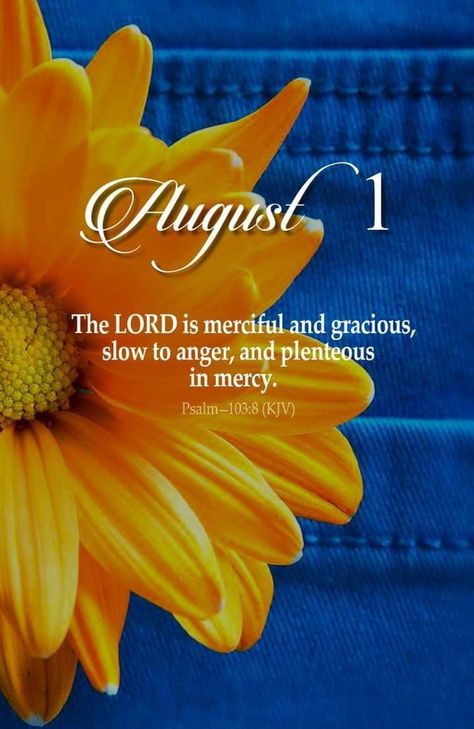 Happy New Month August Images, August Prayer Quotes, New Month August Blessings, Happy August Month Quotes, August New Month Quotes, 1 August Quotes, August Blessings Quotes, 1st August Quotes, August Greetings