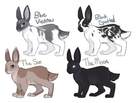 Drawing Challenge Animals, Bunny Cat Hybrid, Rabbit Human Hybrid, Bunny Human Hybrid, Rabbit Digital Art, Rabbit Types, Httyd Art, Spirit Animal Art, Animated Animals